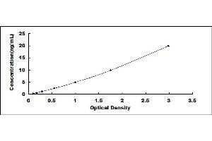 Typical standard curve (BASP1 ELISA 试剂盒)