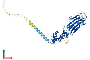 AlphaFold protein structure predicition of Mouse Recombinant Fbxo2 Protein, UniprotID Q80UW2