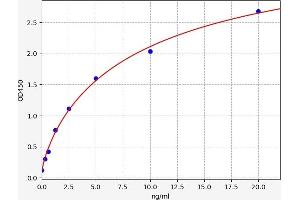 Typical standard curve (Progesterone Receptor ELISA 试剂盒)
