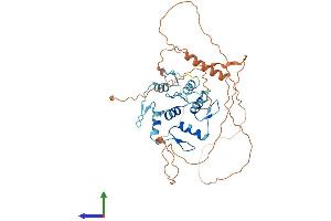 Protein Structure (PS) image for Growth Factor Independent 1 (GFI1) (AA 1-423) protein (His tag) (ABIN7563524)