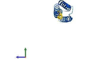 Protein Structure (PS) image for alpha Hemoglobin Stabilizing Protein (aHSP) (AA 1-102) protein (His tag) (ABIN7552135)