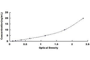 Typical standard curve