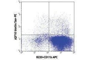 Flow Cytometry (FACS) image for anti-Fms-Related tyrosine Kinase 3 (FLT3) antibody (Biotin) (ABIN2660811) (FLT3 抗体  (Biotin))