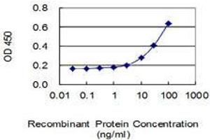 Detection limit for recombinant GST tagged SPATA19 is 1 ng/ml as a capture antibody. (SPATA19 抗体  (AA 1-167))