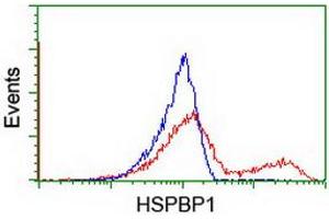 Flow Cytometry (FACS) image for anti-HSPA Binding Protein, Cytoplasmic Cochaperone 1 (HSPBP1) antibody (ABIN1498759) (HSPBP1 抗体)