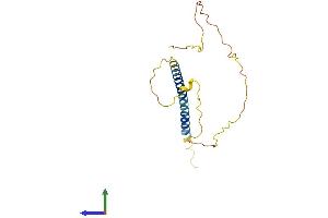 Protein Structure (PS) image for Bcl2 Modifying Factor (BMF) (AA 1-184) protein (His tag) (ABIN7552811)