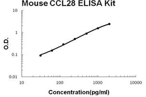 Mouse CCL28 Accusignal ELISA Kit Mouse CCL28 AccuSignal ELISA Kit standard curve. (CCL28 ELISA 试剂盒)