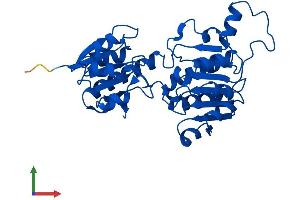 Protein Structure (PS) image for Glyoxylate Reductase/hydroxypyruvate Reductase (GRHPR) (AA 1-328) protein (His tag) (ABIN7548131)