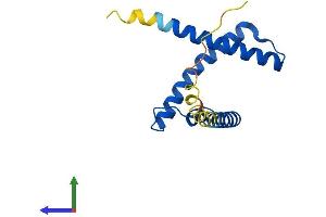 AlphaFold protein structure predicition of Mouse Recombinant Cenps Protein, UniprotID Q9D084