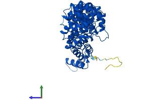 Protein Structure (PS) image for Armadillo Repeat Containing 6 (ARMC6) (AA 1-468) protein (His tag) (ABIN7558787)