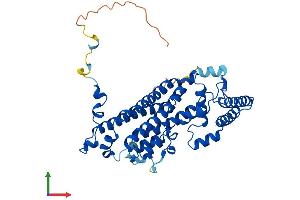 Protein Structure (PS) image for Tryptophan 2,3-Dioxygenase (TDO2) (AA 1-406) protein (His tag) (ABIN7563324)