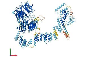 AlphaFold protein structure predicition of Human Recombinant WDR35 Protein, UniprotID Q9P2L0