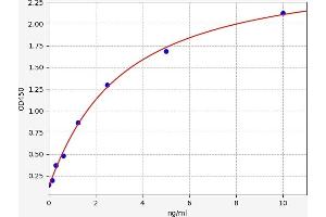 Typical standard curve (CREB1 ELISA 试剂盒)