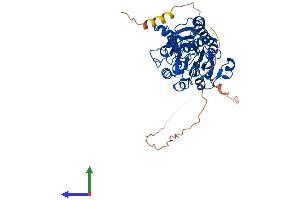 Protein Structure (PS) image for C-terminal Binding Protein 2 (CTBP2) (AA 1-445) protein (His tag) (ABIN7556482)