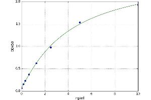 A typical standard curve (AGGF1 ELISA 试剂盒)