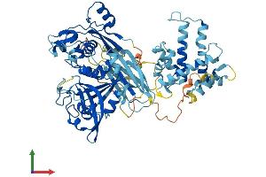 AlphaFold protein structure predicition of Human Recombinant CAPN13 Protein, UniprotID Q6MZZ7