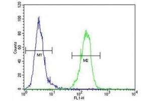 Flow Cytometry (FACS) image for anti-V-Akt Murine Thymoma Viral Oncogene Homolog 1 (AKT1) (AA 115-144) antibody (ABIN3029459)