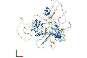 Protein Structure (PS) image for Potassium Voltage-Gated Channel, Subfamily H (Eag-Related), Member 2 (KCNH2) (AA 1-1159) protein (His tag) (ABIN7554266)