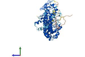 Protein Structure (PS) image for Ankyrin Repeat and SOCS Box Containing 15 (ASB15) (AA 1-583) protein (His tag) (ABIN7559934)