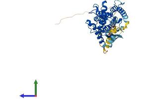 AlphaFold protein structure predicition of Human Recombinant PARVB Protein, UniprotID Q9HBI1