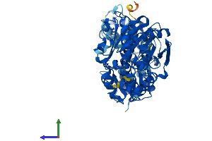 AlphaFold protein structure predicition of Human Recombinant EPHX2 Protein, UniprotID P34913