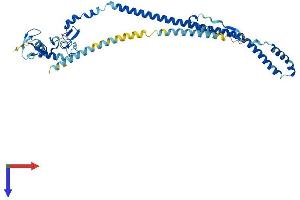 TRIM59 Protein (AA 1-403) (His tag)