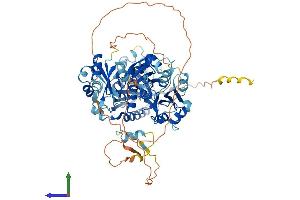 Protein Structure (PS) image for Epithelial Splicing Regulatory Protein 2 (ESRP2) (AA 1-717) protein (His tag) (ABIN7564615)