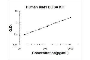 Hepatitis A Virus Cellular Receptor 1 (HAVCR1) ELISA Kit