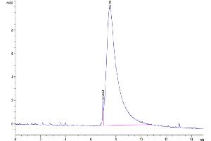 Size-exclusion chromatography-High Pressure Liquid Chromatography (SEC-HPLC) image for Colony Stimulating Factor 1 (Macrophage) (CSF1) (AA 33-255) protein (His tag) (ABIN7274421)
