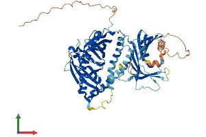 AlphaFold protein structure predicition of Human Recombinant ACOT11 Protein, UniprotID Q8WXI4