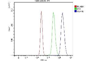 Flow Cytometry analysis of HepG2 cells using anti-USP16 antibody (ABIN7599650). (USP16 抗体  (AA 103-683))