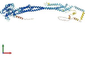 Protein Structure (PS) image for Mitofusin 2 (MFN2) (AA 1-757) protein (His tag) (ABIN7564255)