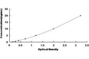 Typical standard curve (REPIN1 ELISA 试剂盒)