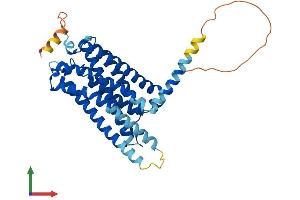 Protein Structure (PS) image for Cannabinoid Receptor 2 (CNR2) (AA 1-360) protein (His tag) (ABIN7546645)