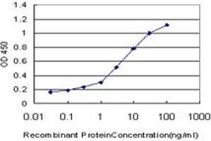 Detection limit for recombinant GST tagged NFYB is approximately 0. (NFYB 抗体  (AA 1-207))