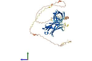 Protein Structure (PS) image for Synaptotagmin XIII (SYT13) (AA 1-426) protein (His tag) (ABIN7561414)
