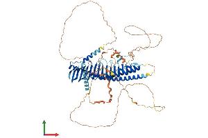 Protein Structure (PS) image for Junctophilin 2 (JPH2) (AA 1-696) protein (His tag) (ABIN7565072)