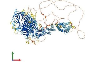 AlphaFold protein structure predicition of Mouse Recombinant Ric1 Protein, UniprotID Q69ZJ7