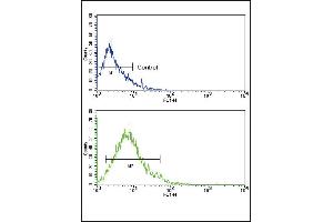 Flow cytometric analysis of HL-60 cells using GLUT2 (SLC2A2) Antibody (bottom histogram) compared to a negative control cell (top histogram). (SLC2A2 抗体  (N-Term))