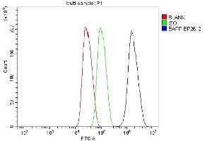 Flow Cytometry analysis of HepG2 cells using anti-EAPP antibody (ABIN7599214). (EAPP 抗体  (AA 1-285))