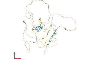 AlphaFold protein structure predicition of Mouse Recombinant Eif4b Protein, UniprotID Q8BGD9