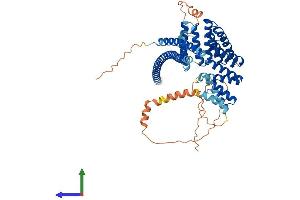 Protein Structure (PS) image for Kinesin Light Chain 1 (KLC1) (AA 1-573) protein (His tag) (ABIN7548817)