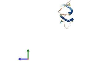 Protein Structure (PS) image for Peripherin (PRPH) (AA 1-475) protein (His tag) (ABIN7562885)