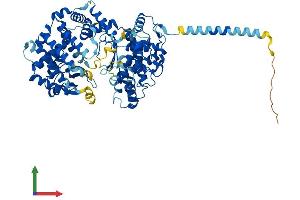 Protein Structure (PS) image for Kell Blood Group, Metallo-Endopeptidase (KEL) (AA 1-713) protein (His tag) (ABIN7561397)
