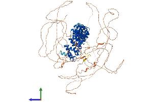 Protein Structure (PS) image for Pumilio Homolog 2 (Drosophila) (PUM2) (AA 1-1066) protein (His tag) (ABIN7564252)
