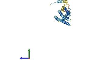 Protein Structure (PS) image for Syntaxin 16 (STX16) (AA 1-326) protein (His tag) (ABIN7558930)