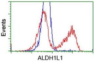 Image no. 3 for anti-Aldehyde Dehydrogenase 1 Family, Member L1 (ALDH1L1) antibody (ABIN1496582) (ALDH1L1 抗体)
