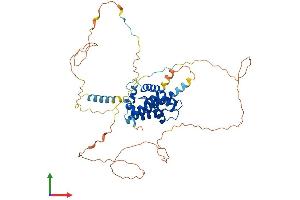 Protein Structure (PS) image for BCL2-Like 13 (Apoptosis Facilitator) (BCL2L13) (AA 1-485) protein (His tag) (ABIN7552521)
