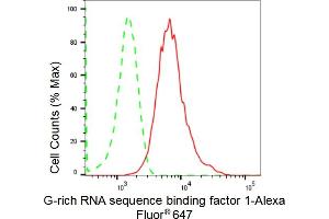 Flow cytometric analysis of G-rich RNA sequence binding factor 1 expression in HepG2 cells using G-rich RNA sequence binding factor 1 antibody (ABIN7798678), 1:2,000). (Recombinant GRSF1 抗体)