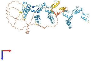 ZNF334 Protein (AA 1-680) (His tag)